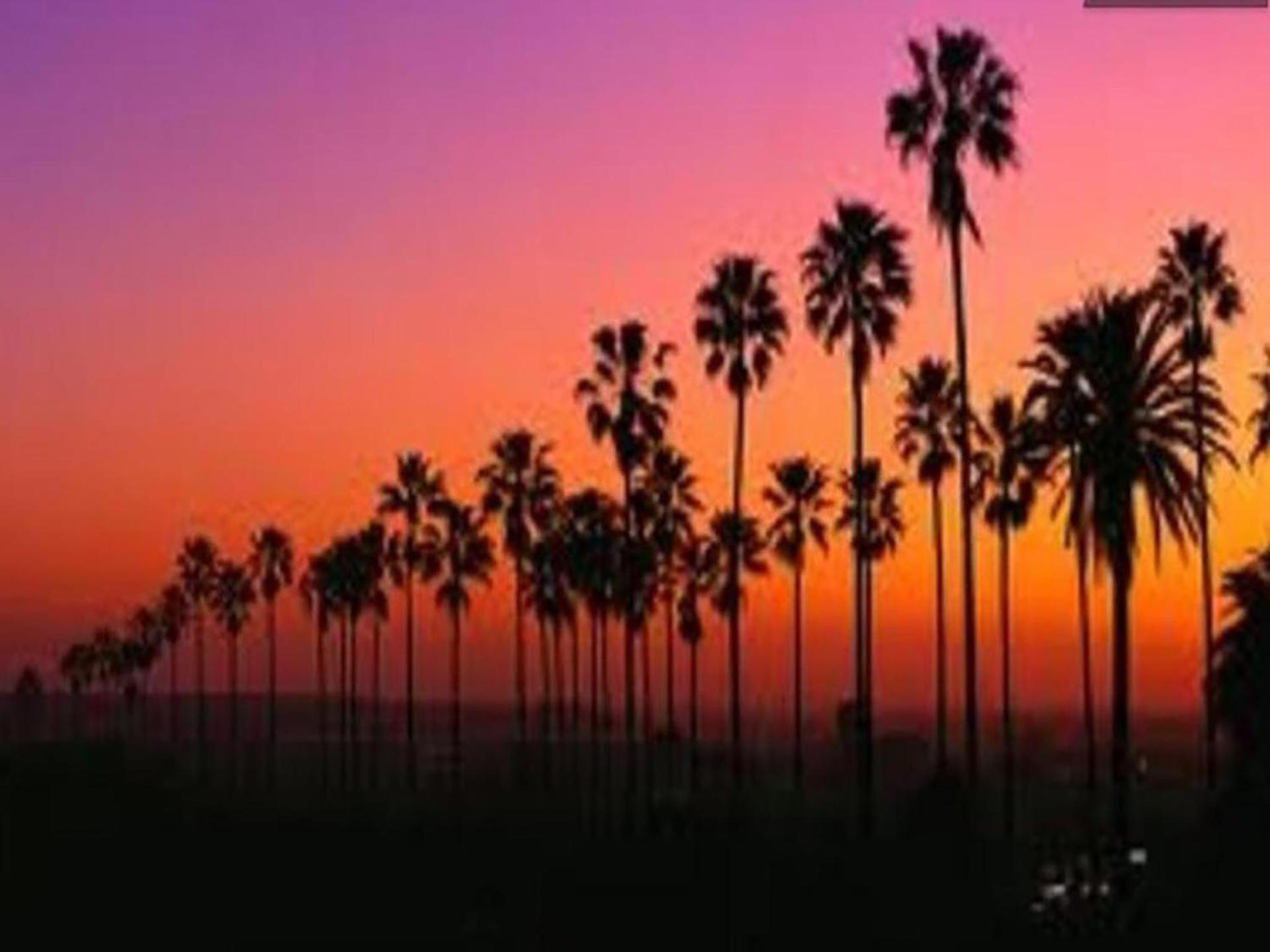 Venice Beach Apartments Monthly Rents Лос Анджелис Екстериор снимка